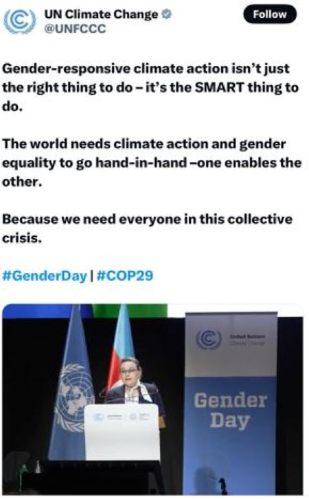 UN Climate Gender.JPG